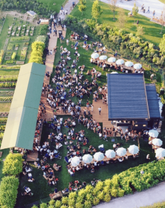 Apéritifs en plein air Milan