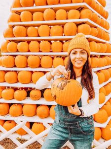 Champ de citrouilles