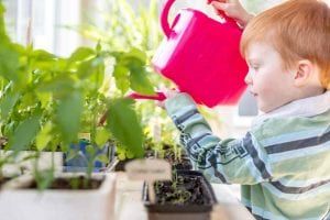 Le jardinage pour les enfants : l'arrosage