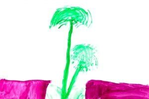 Dessiner un plant