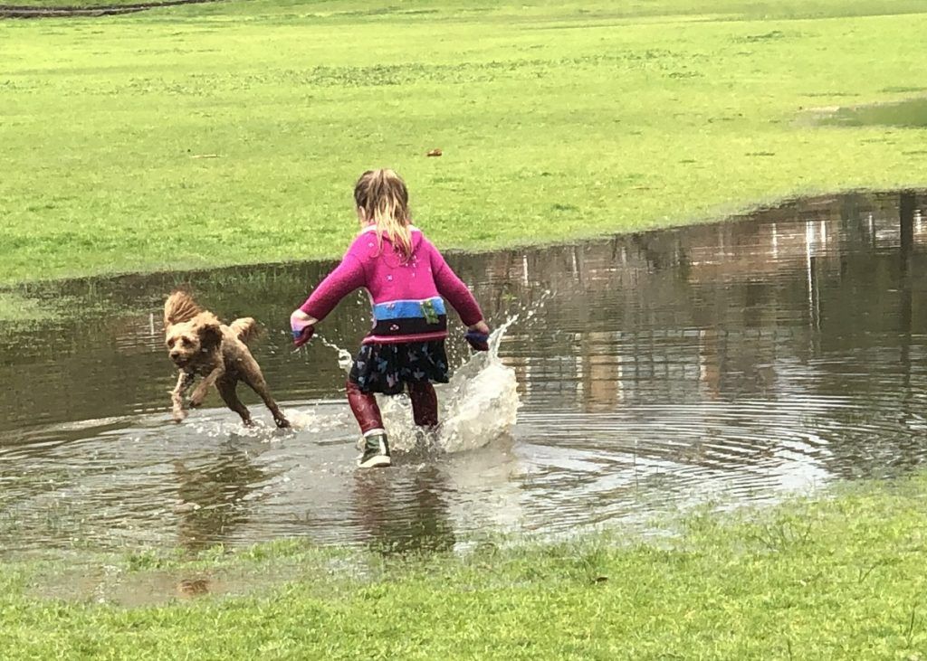 Flaques d'eau du parc Fairview