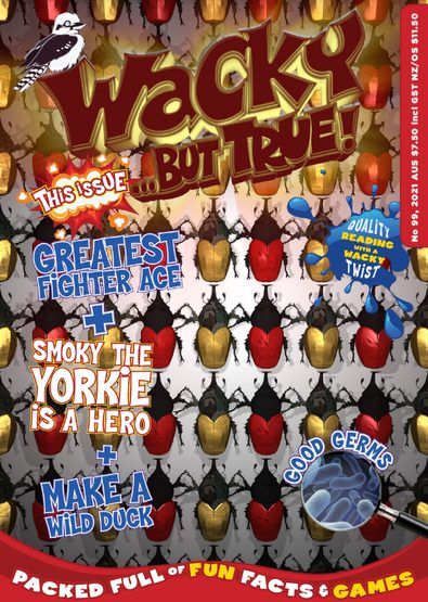 Magazine pour enfants farfelu mais vrai