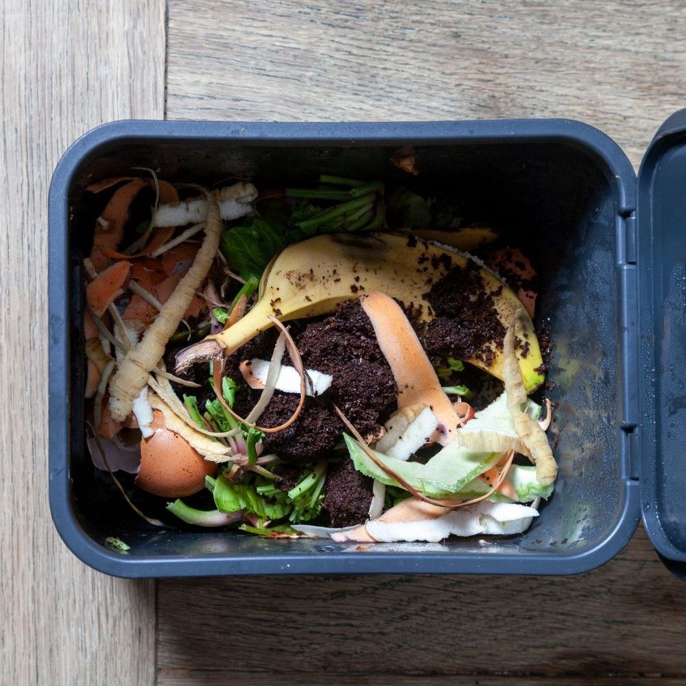 Activité de jardinage compost pour enfants