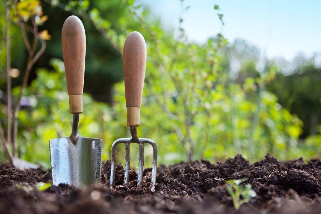 Activités de jardinage amusantes pour les enfants