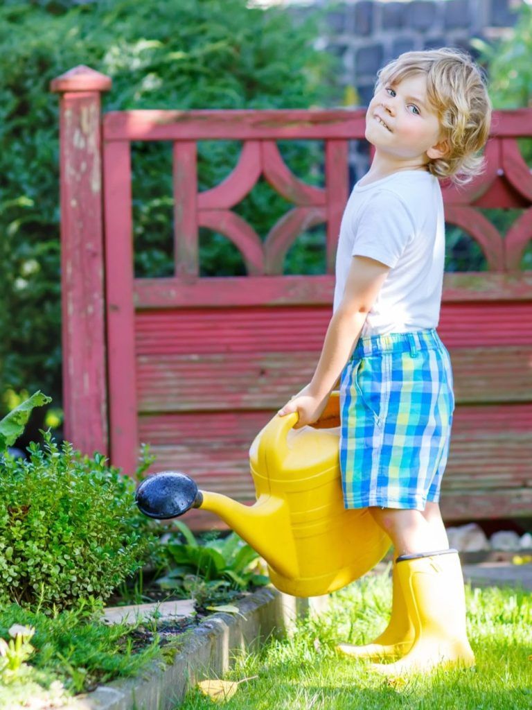 Activités de jardinage : arroser les plantes