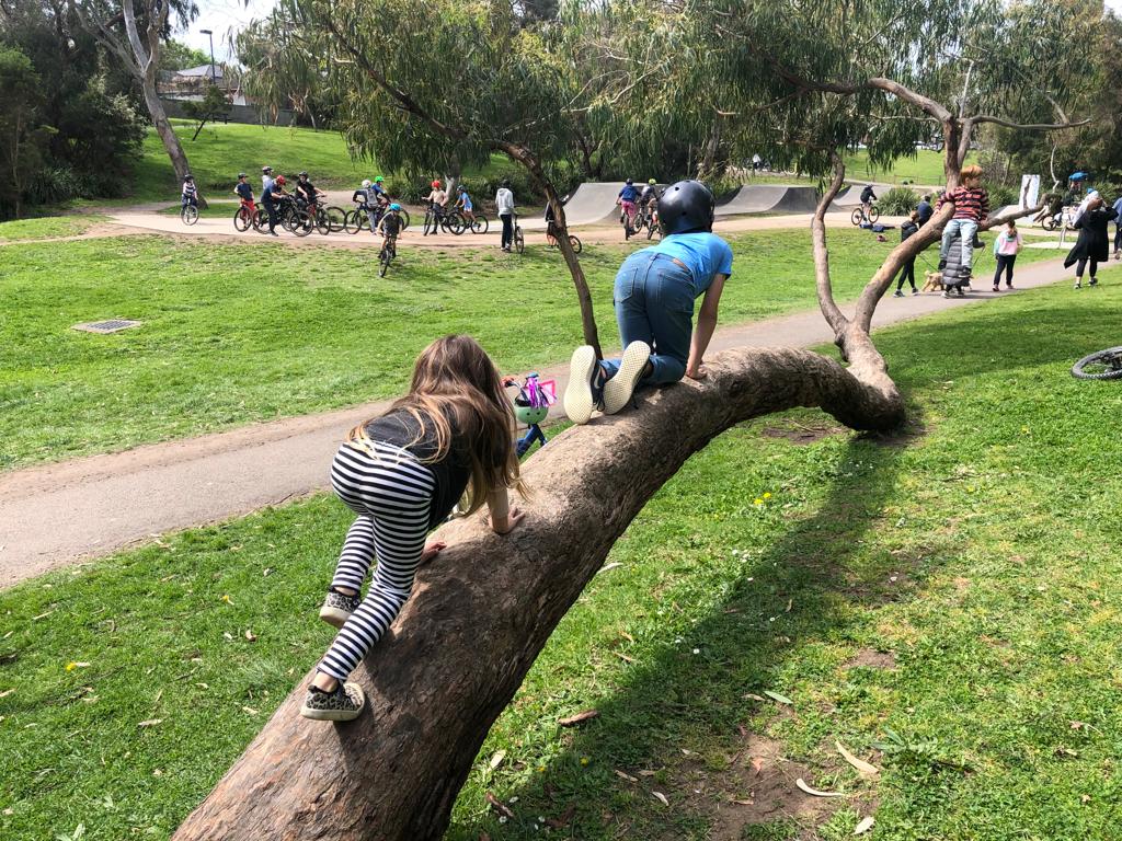 Hill n Dale Bike Track Climbing Trees