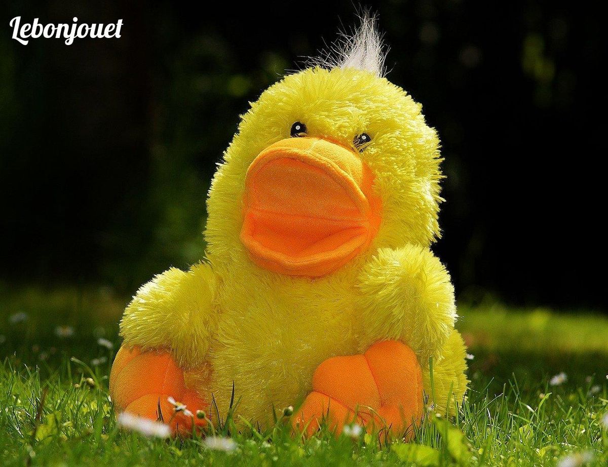 Adorable canard en peluche, compagnon d'éveil parfait pour Noël 2024.