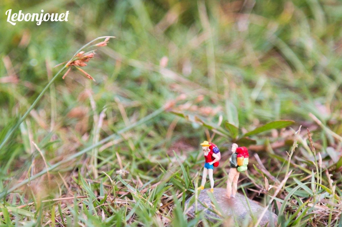Aventures miniatures : parfait pour débuter une collection de figurines à petit prix.