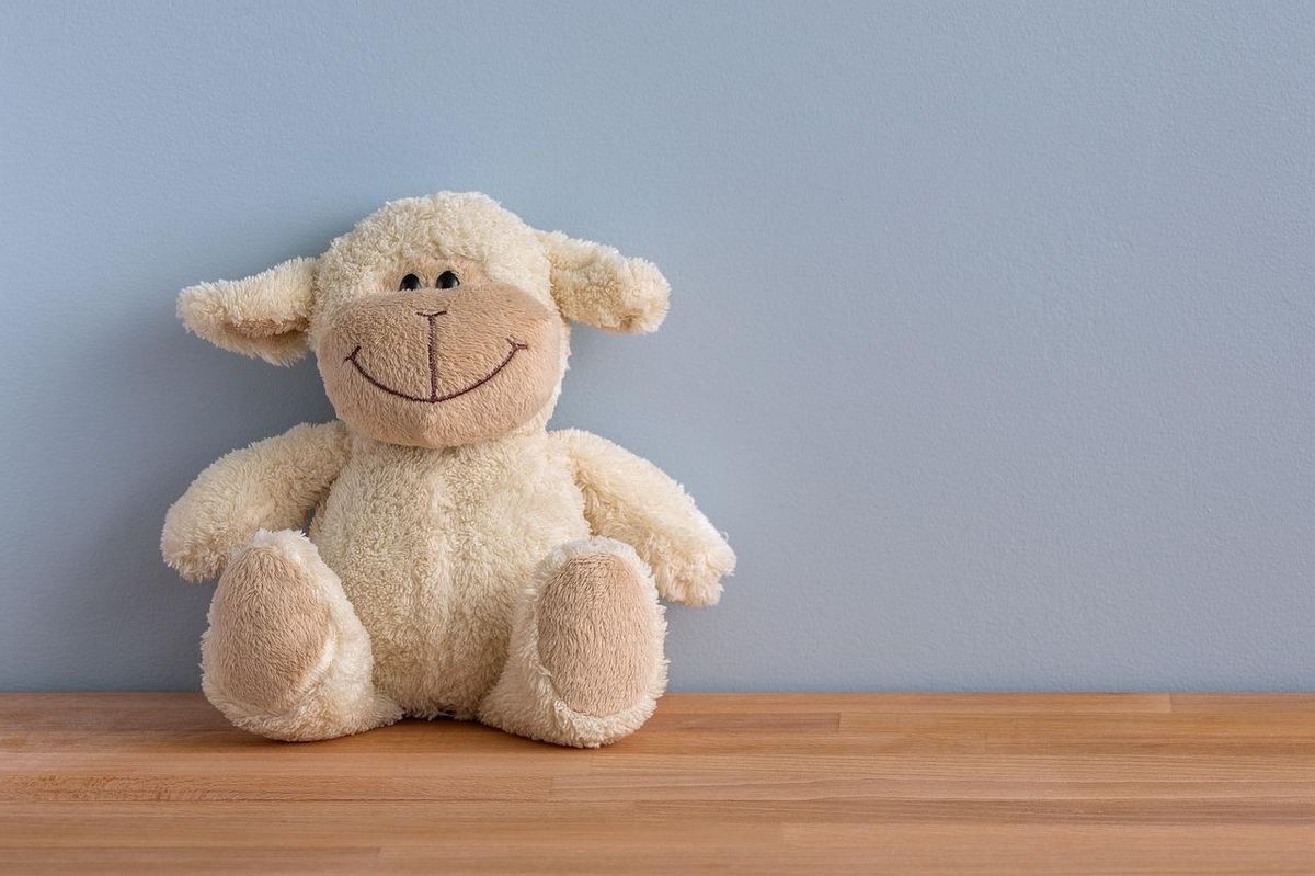 Choisir des jouets doux et résistants pour un chiot comblé.