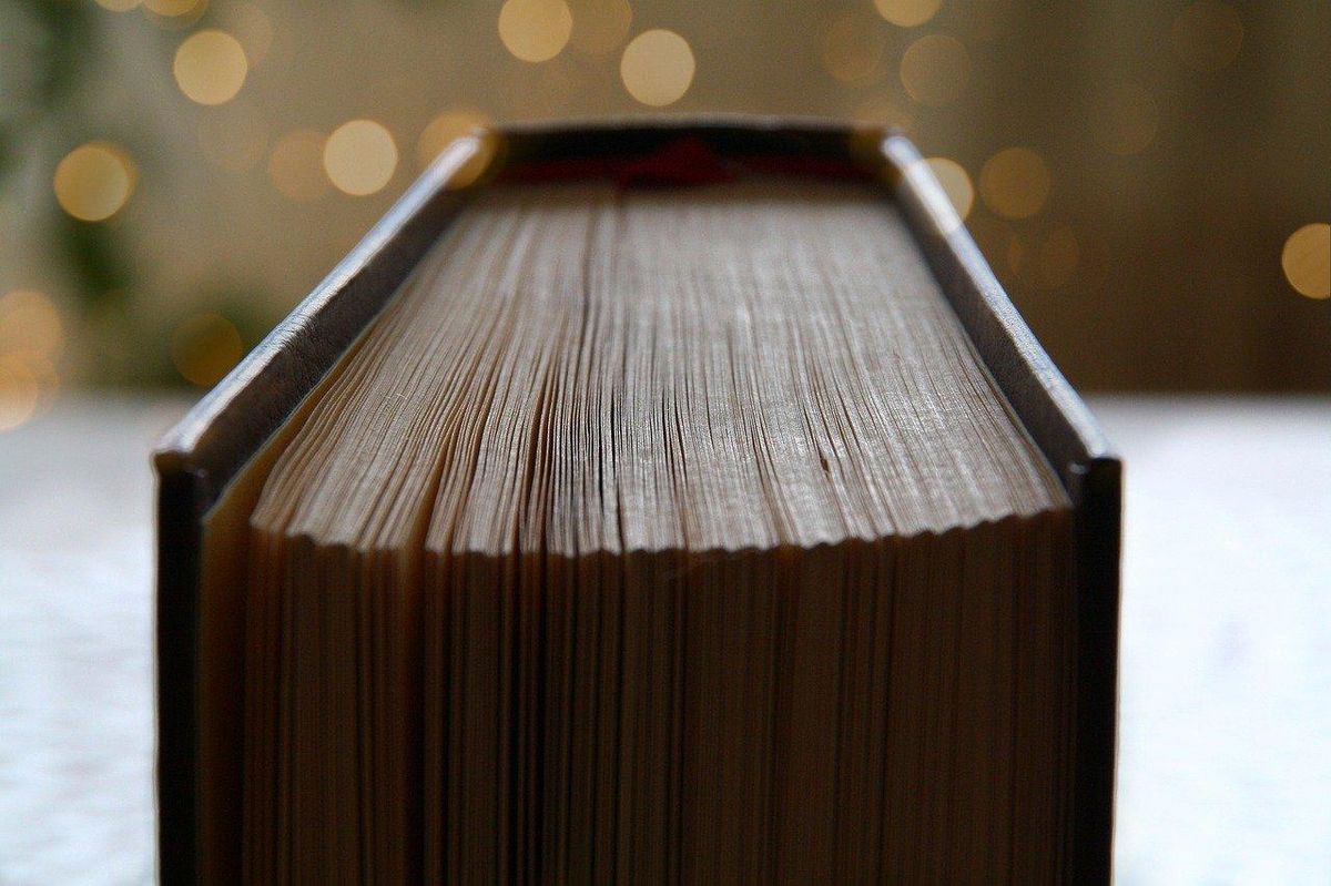 Classiques indémodables : ce livre épais recèle d'histoires d'horreur parfaites pour Halloween.