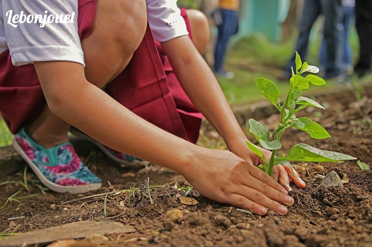 Cultivez l'amour de la nature avec des jouets écolos pour un Noël vert en 2024.