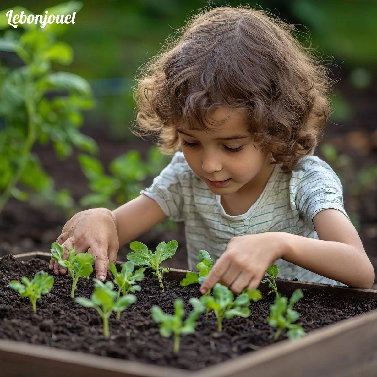 Enfant découvre la nature: sécurité des outils adaptée aux petits jardiniers.