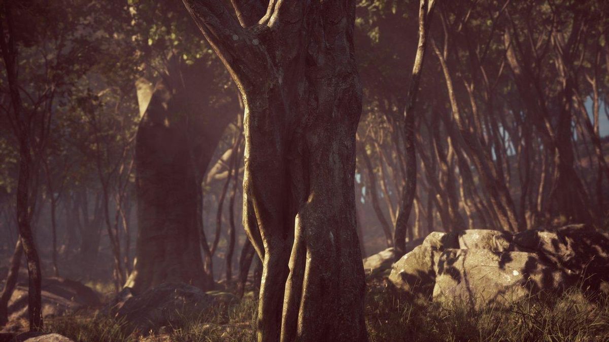 Exploration en forêt dans Megabonk : interaction avec un PNJ pour débloquer un personnage jouable.