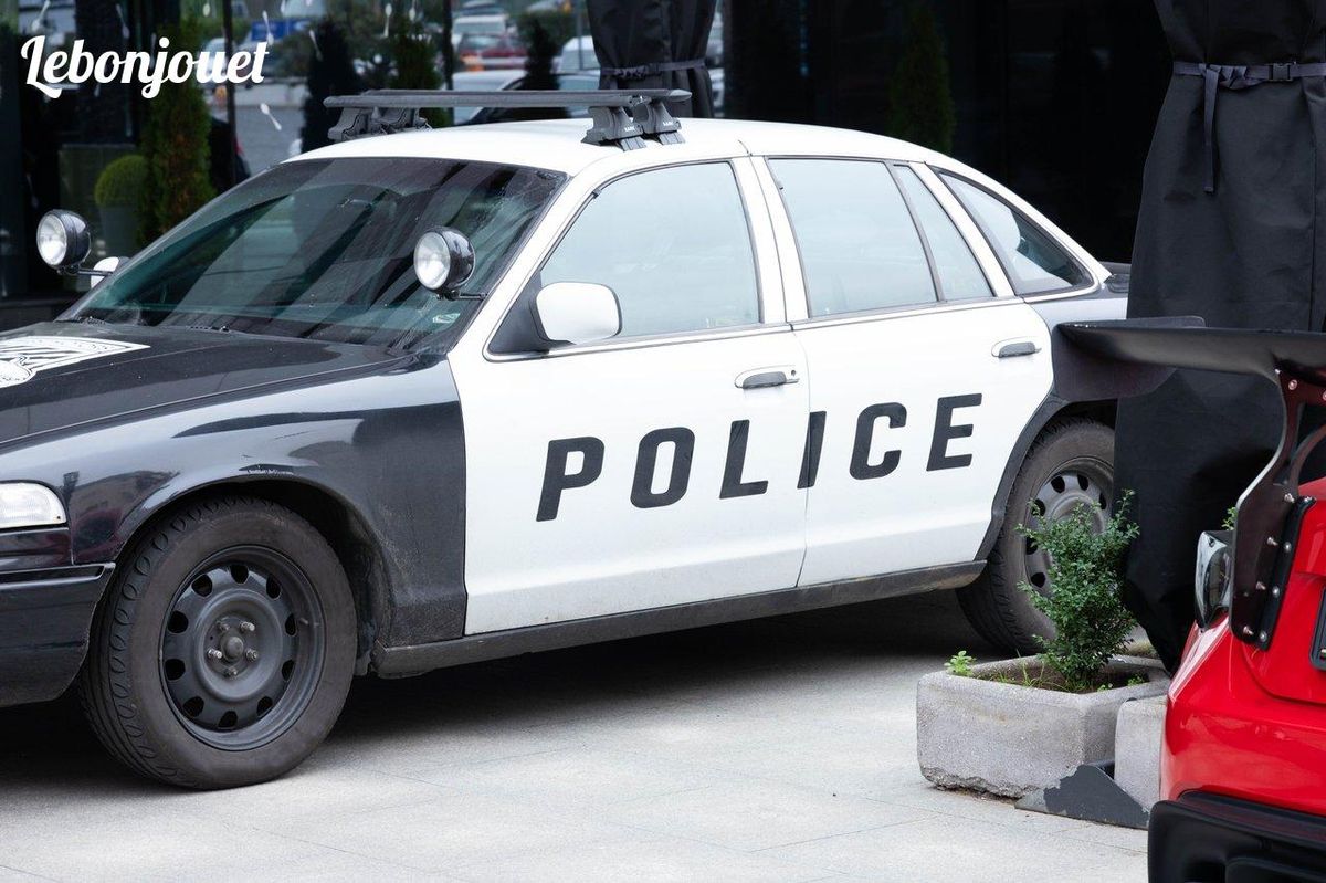 La voiture de police, alliée pour Chase dans la Pat Patrouille, allie force et style.