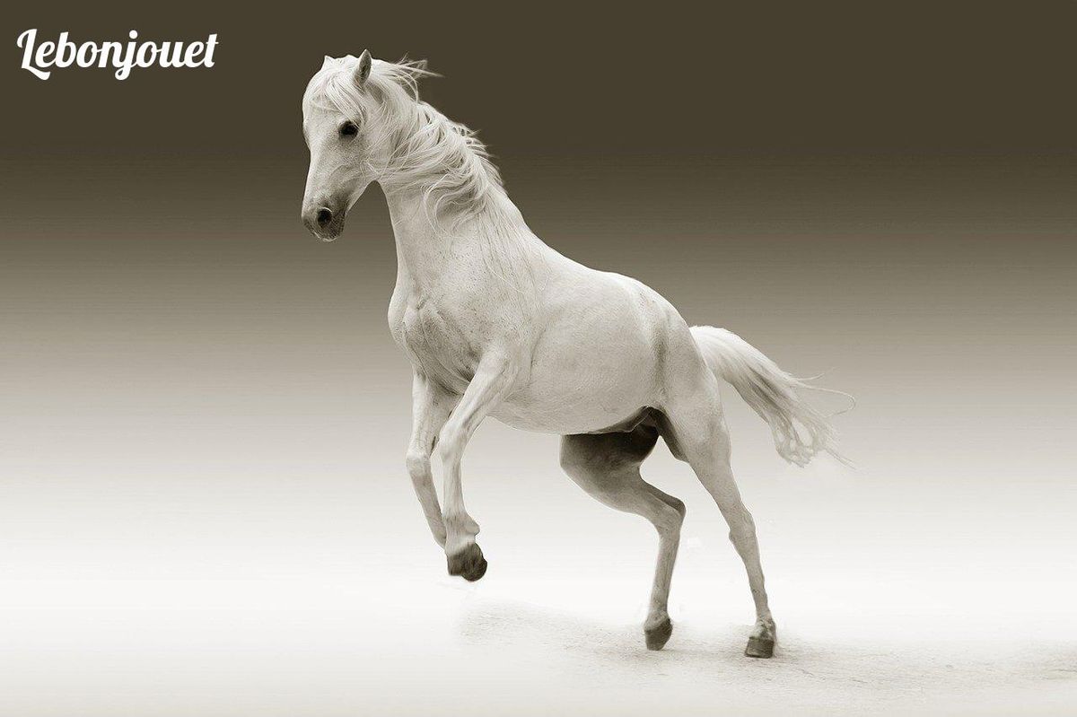 Maximus, noble et puissant, incarne la force et l'élégance des protecteurs royaux.