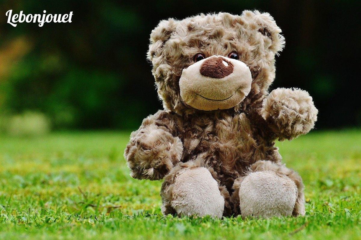 Ours en peluche sur l'herbe: douceur et respect de la planète pour des fêtes écoresponsables.