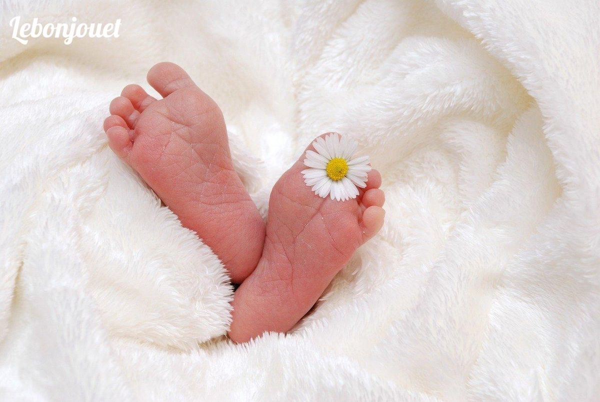 Petits pieds enchantés invitent à découvrir des livres doux pour éveiller bébé à Noël 2024.