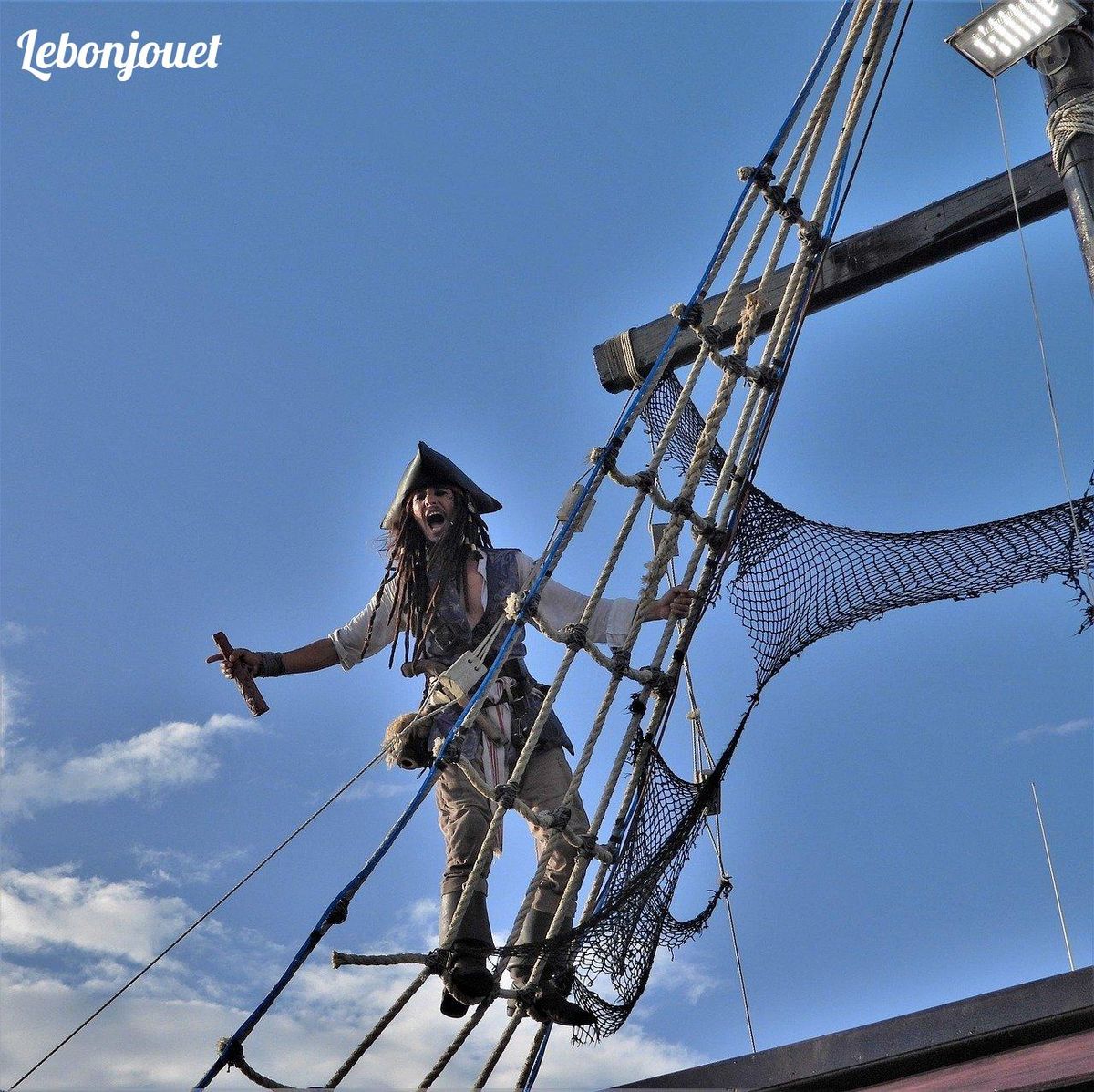 Pirate intrépide au sommet ! Imaginez une princesse à ses côtés pour une aventure épique.