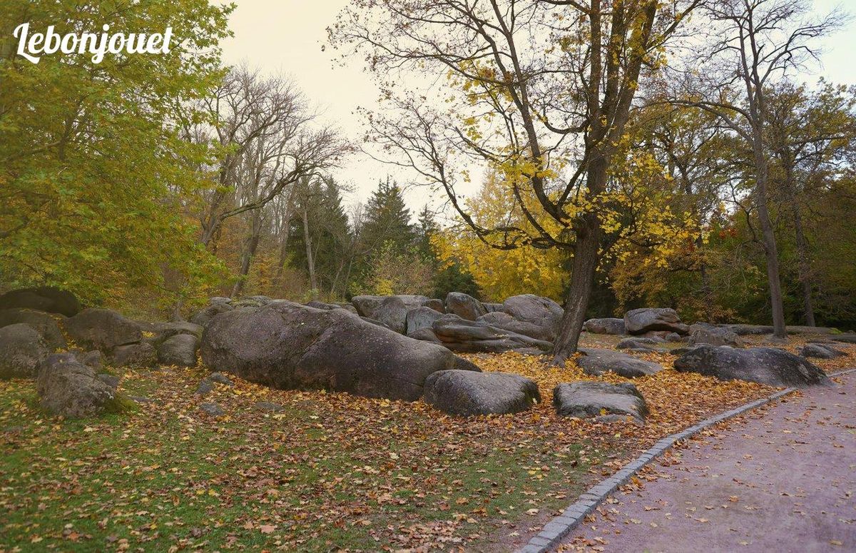 Rochers et feuillages dorés : une escapade automnale typique des parcs naturels français.