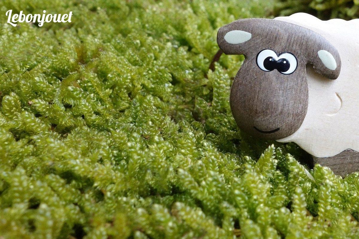 Un mouton en bois sur tapis de mousse : invite à construire un rêve naturel dès le plus jeune âge.
