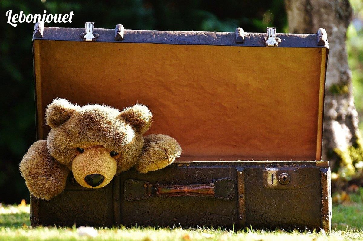 Un ours en peluche désireux d'aventure, pour les jeunes amoureux des animaux !