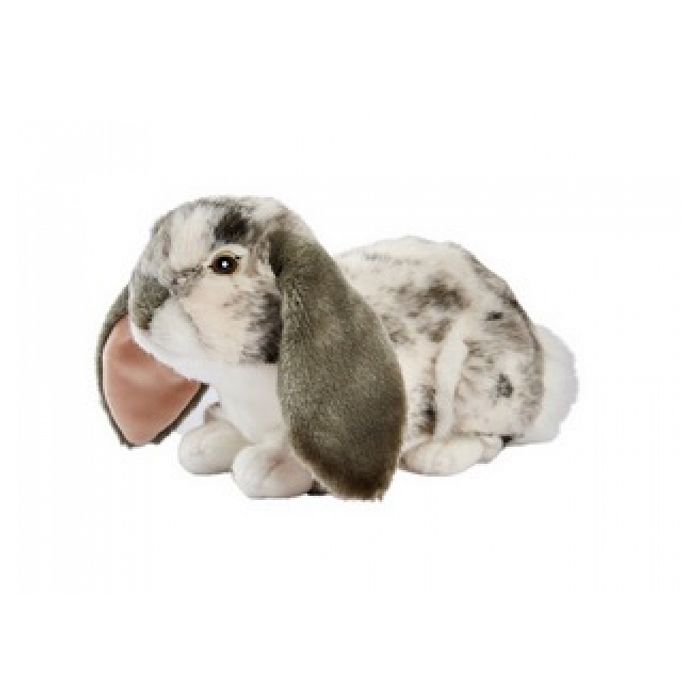 Peluche - Anima - Lapin Bélier Couché - Gris - 30cm - Pour Enfant