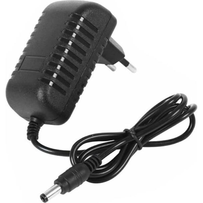 Chargeur de Batterie - MARSEE - Chargeur de Véhicule Électrique Enfant - DC 12V 1000mA - Câble 1m - Mixte