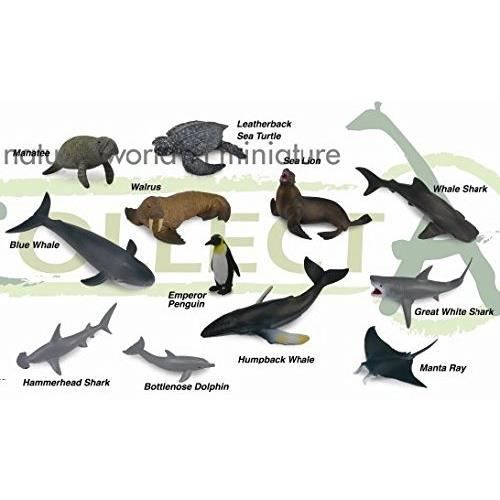 Figurine - COLLECTA - Mini Mer Animaux - Multicolore - Réaliste - Pour Enfants à partir de 3 ans