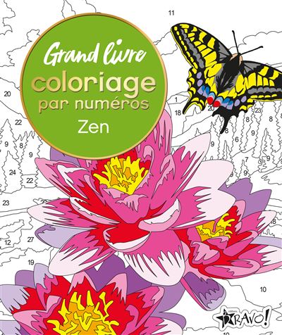 Grand livre coloriage par numéros - Zen - David Woodroffe - Bravo