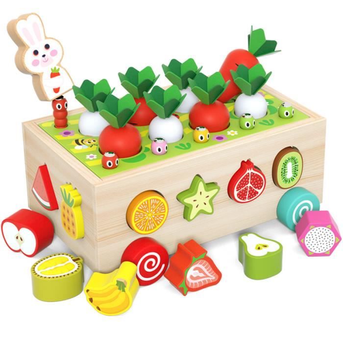 Jouet de Sport en Bois - 5 en 1 - Éducatif - Cube de Classification - Sensoriel