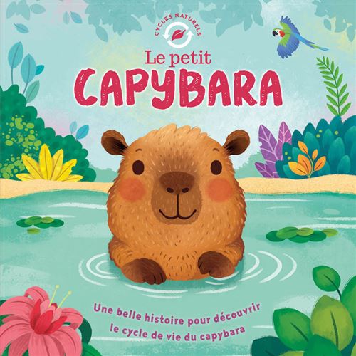 Le petit capybara - Gisela Bohórquez - 1 2 3 Soleil - cartonné - Album jeunesse