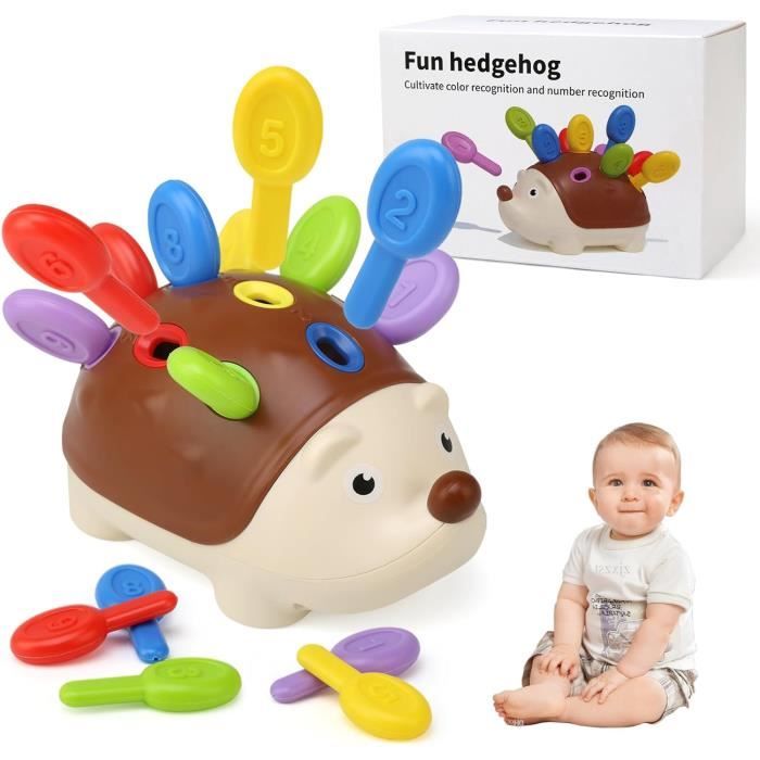 Jouet Montessori 18 MoisHérisson Jouet de Tri Jouet Sensoriel Motricité Fine Bebe Jeux ÉducatifCadeau pour Fille Garcon 1 2 3