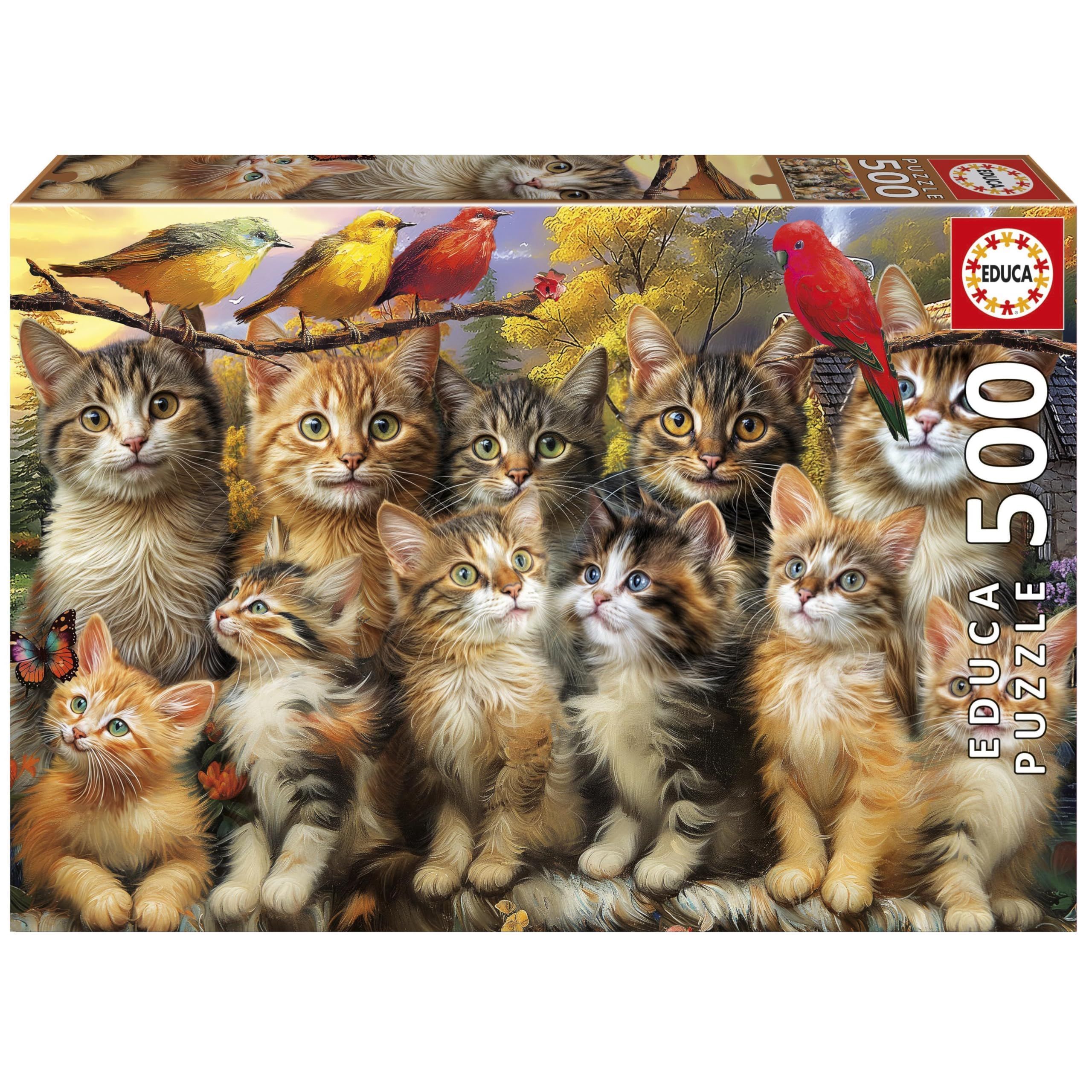 Puzzle - EDUCA - Chatons et Oiseaux - 500 pièces