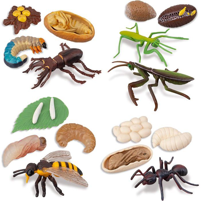 Figurines dinsectes - GIGICIAL - Lot de 16 - Cycle de vie - Éducatif - Multicolore