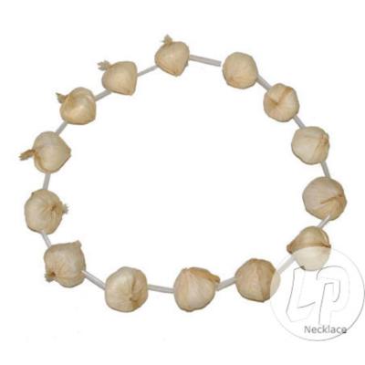 Collier gousse d'ail - accessoire Halloween