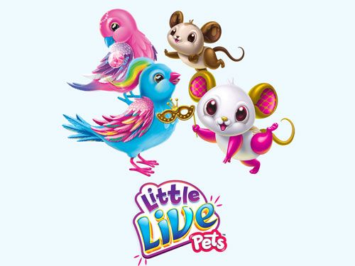 Little Pets