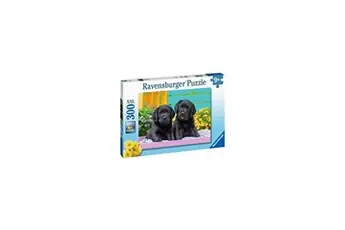 - Puzzle 300 pièces XXL - Labradors noirs
