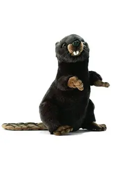 peluches - peluche anima castor dresse 30 cm