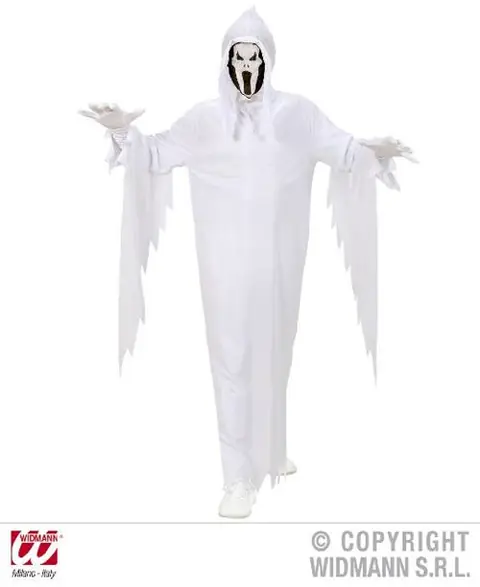 Déguisement Fantôme Enfant Blanc (5/7 ans)