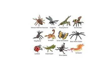 Collecta set de jeu mini insectes junior 7-11 cm ABS