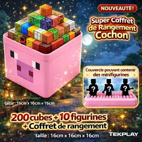 coffret de 200 cubes blocs construction aimantés style MINECRAFT - TEKPLAY  - Jouet enfant