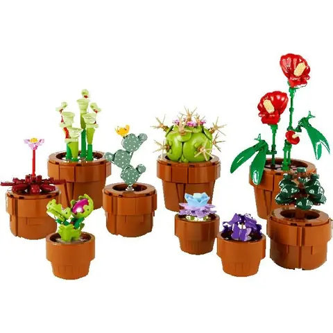 LEGO BOTANICALS 10329 Les plantes miniatures Cadeaux Jouets Objets de collection 18+