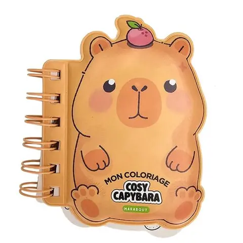 Petit colo mousse - Capybara - Matthias Orsi - Marabout - broché - Livre-jeu