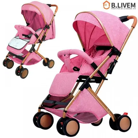 B.LIVEM POUSSETTE PLIABLE 2 EN 1 POUR BÉBÉ DE 0 À 4 ANS DOSSIER RÉGLABLE GRAND AUVENT COUSSIN DE SIÈGE ET MOUSTIQUAIRE ROSE