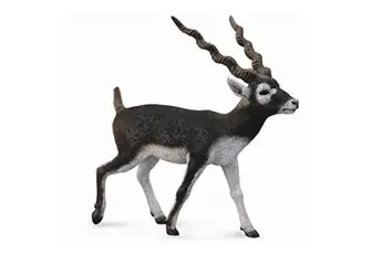 Collecta - 3388638 - figurine - animaux sauvages - antilope