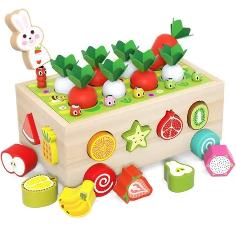 Jouet de Sport en Bois - 5 en 1 - Éducatif - Cube de Classification - Sensoriel