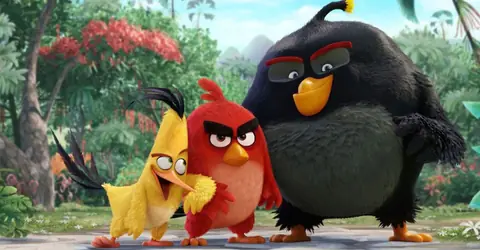 Angry Birds, Le film, mais pas que !