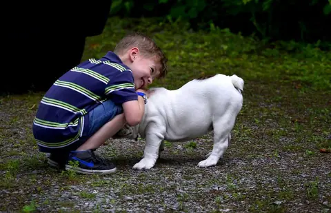 Adopter un animal pour les enfants : bonne ou mauvaise idée ?