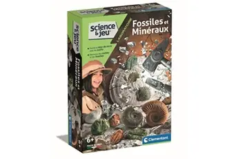 - mini-coffret fossiles et minéraux