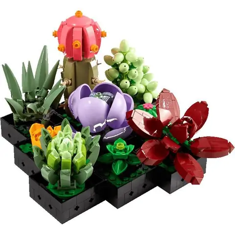 LEGO BOTANICALS 10309 Les succulentes Cadeaux Jouets Objets de collection 18+